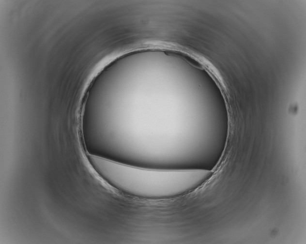 X0000095881381200801110754