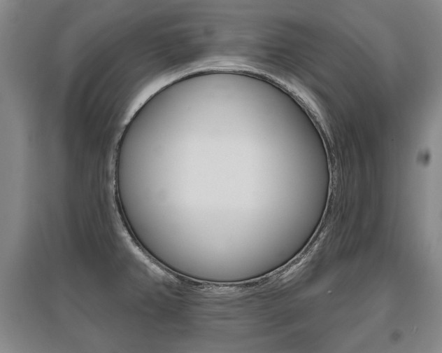 X0000095881382200801110754