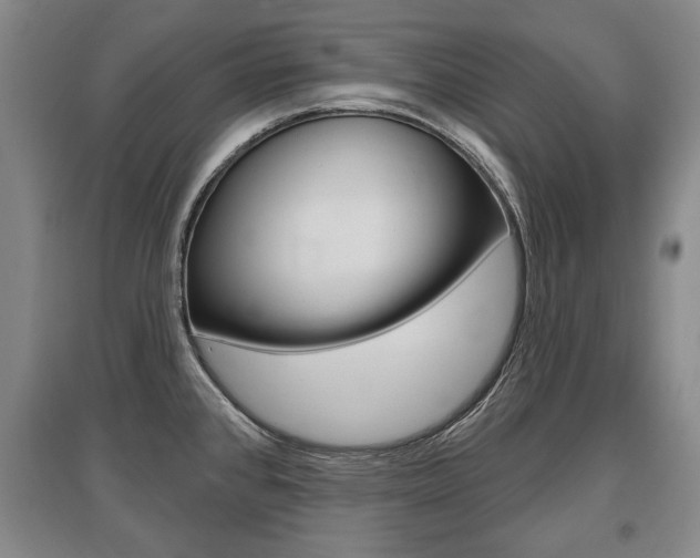 X0000095881384200801110754