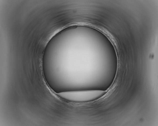 X0000095881385200801110754