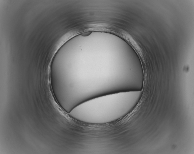 X0000095881386200801110754