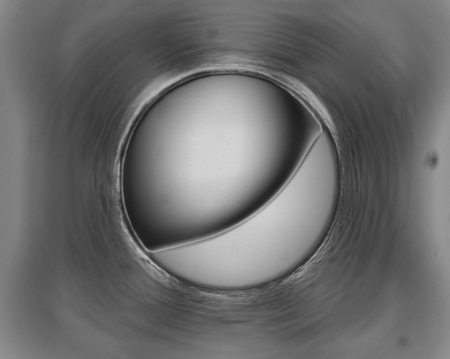 X0000095881388200801110754