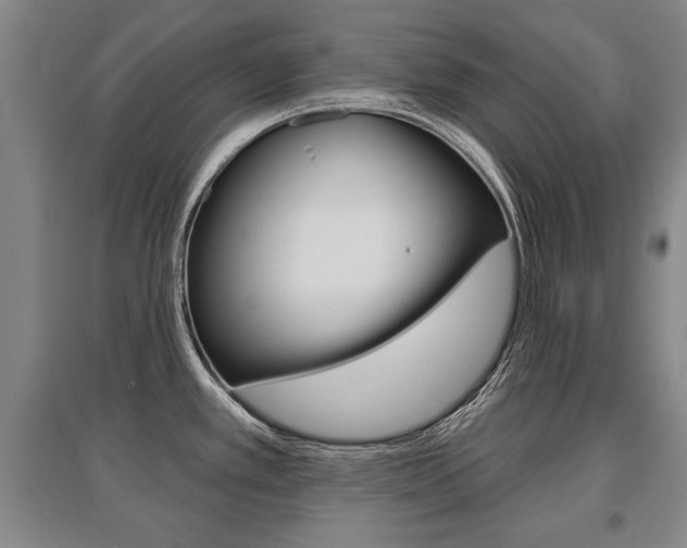 X0000095881389200801110754