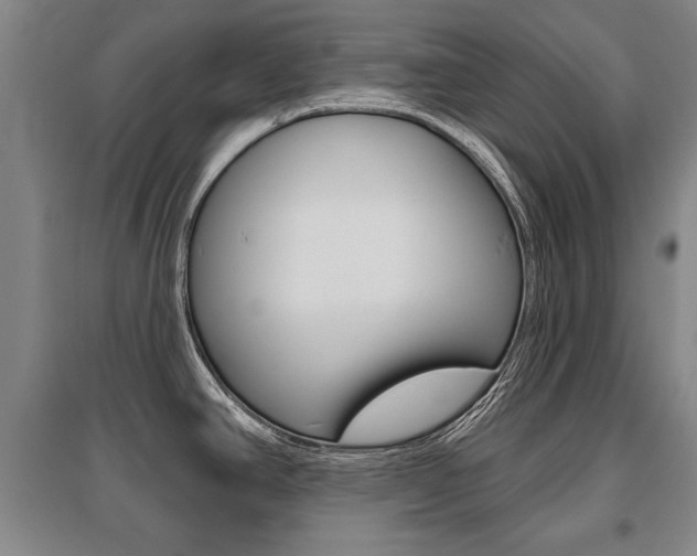 X0000095881390200801110754