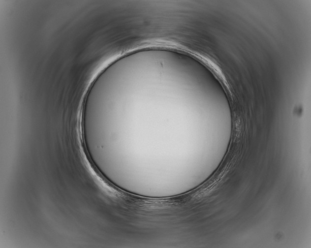 X0000095881391200801110754