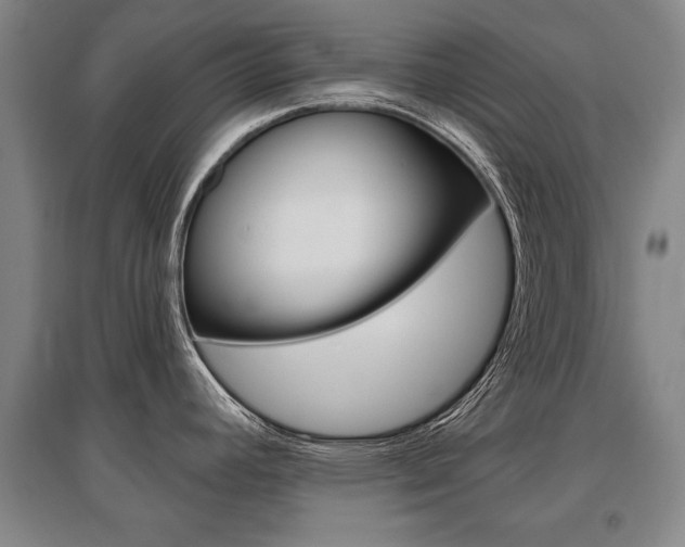 X0000095881392200801110754