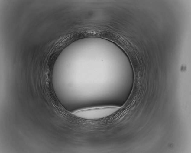 X0000095881394200801110753