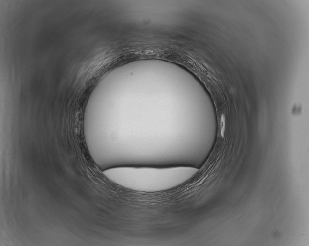 X0000095881395200801110753