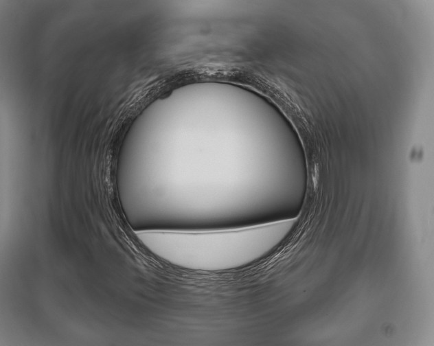 X0000095881396200801110753