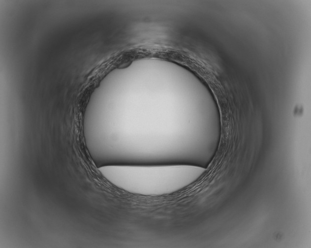 X0000095881397200801110753