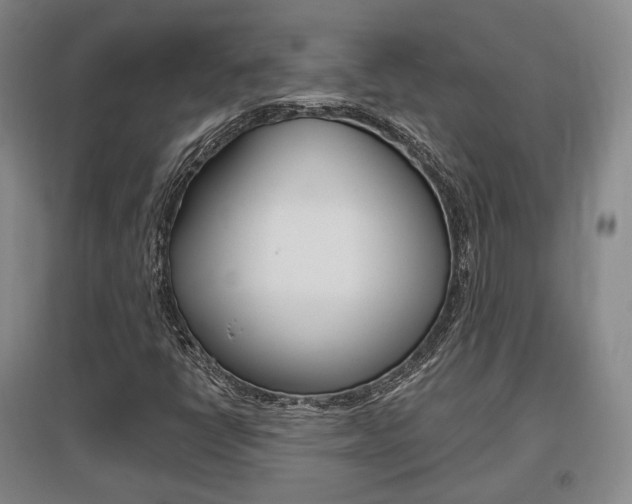 X0000095881398200801110753