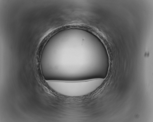 X0000095881400200801110753