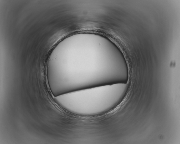 X0000095881401200801110753