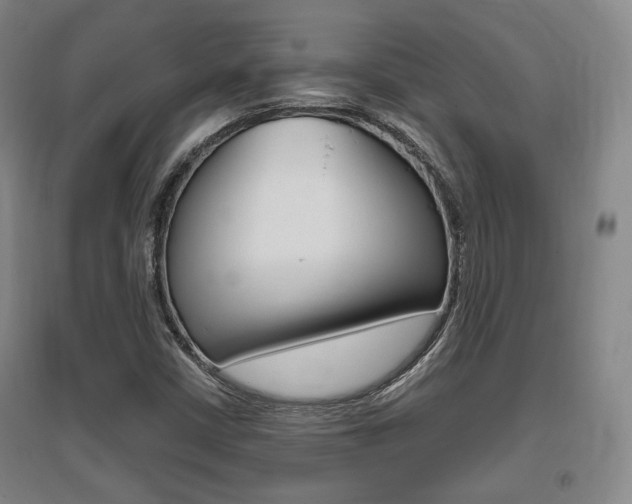 X0000095881402200801110753