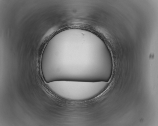 X0000095881403200801110753