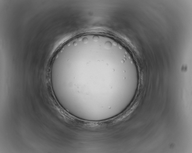 X0000095881405200801110753