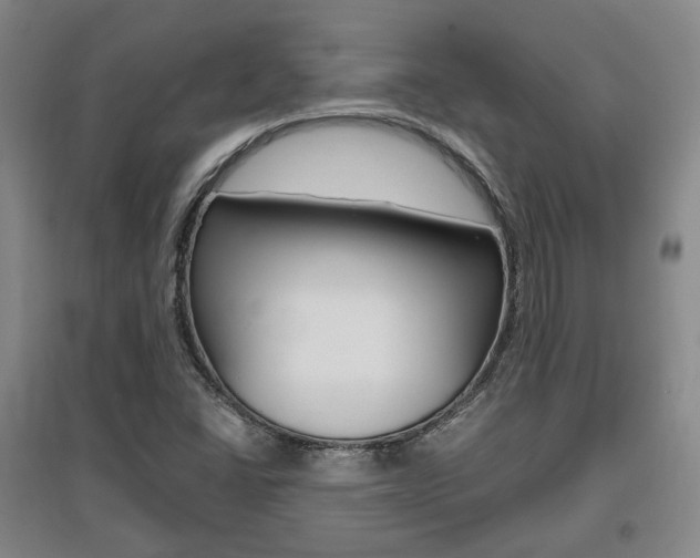 X0000095881406200801110753