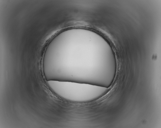 X0000095881407200801110753