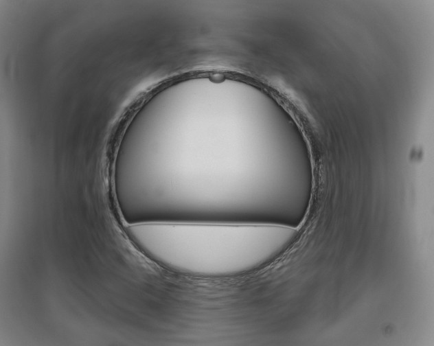 X0000095881408200801110754