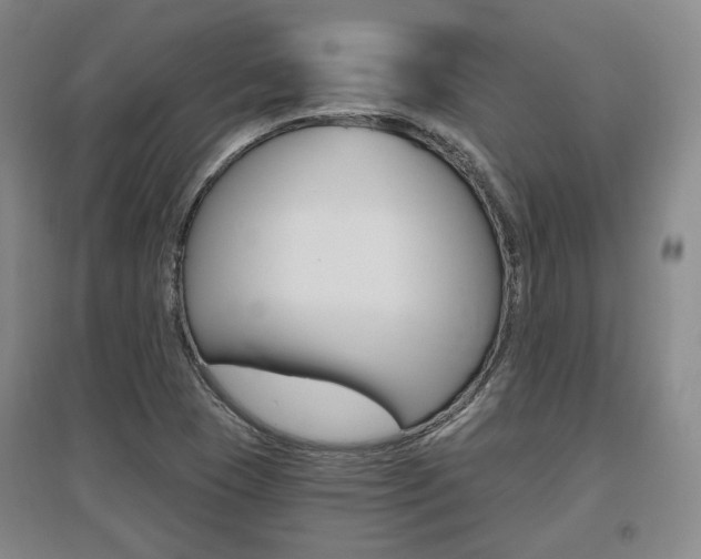 X0000095881409200801110754