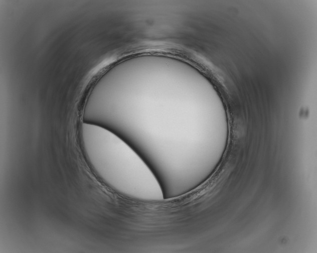 X0000095881411200801110754