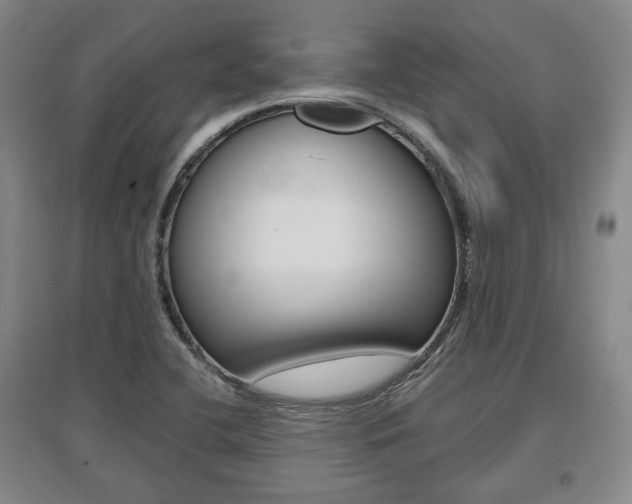 X0000095881412200801110754