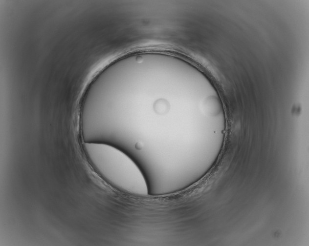 X0000095881413200801110754