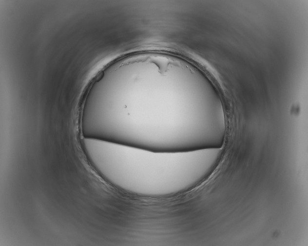 X0000095881415200801110754