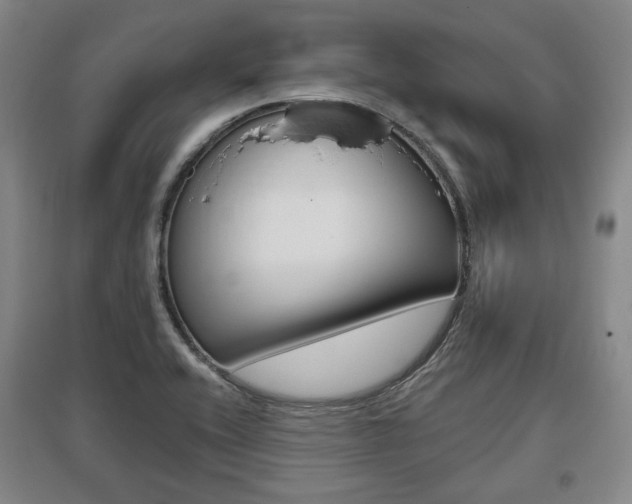 X0000095881416200801110754
