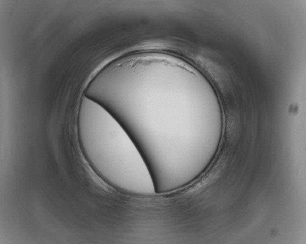 X0000095881417200801110754