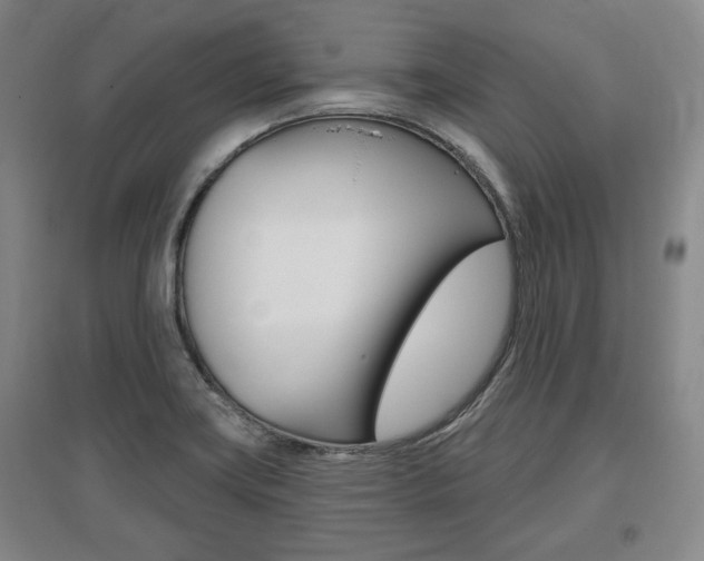 X0000095881419200801110754