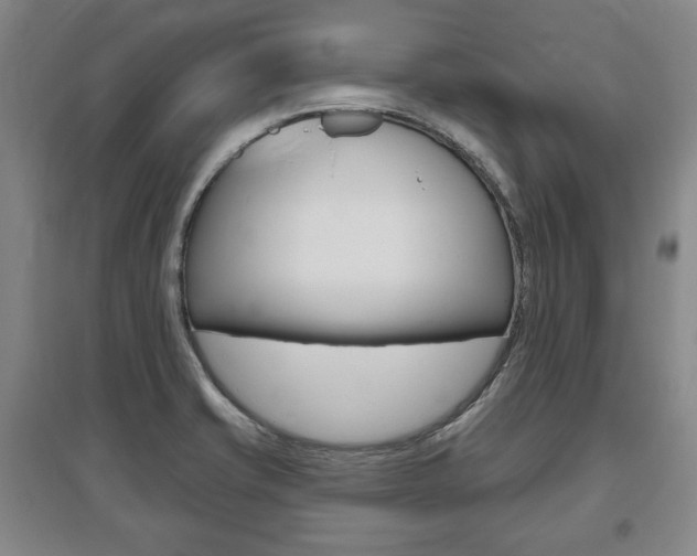 X0000095881421200801110754
