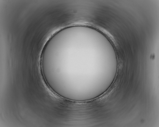 X0000095881423200801110754