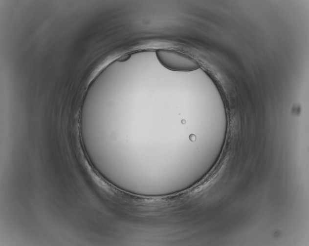 X0000095881425200801110754