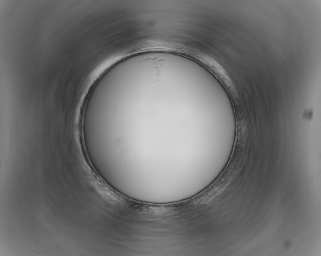 X0000095881427200801110754