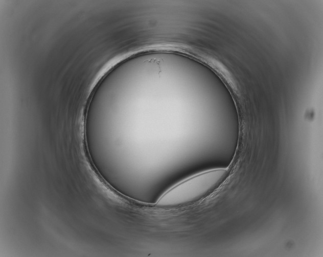 X0000095881428200801110754