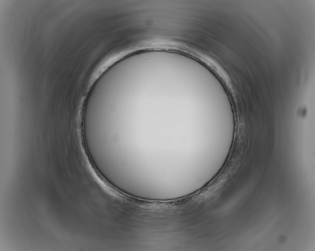 X0000095881429200801110754