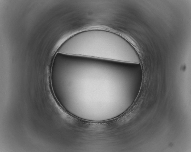 X0000095881430200801110754