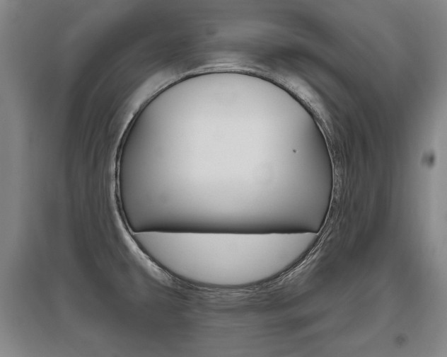 X0000095881431200801110754