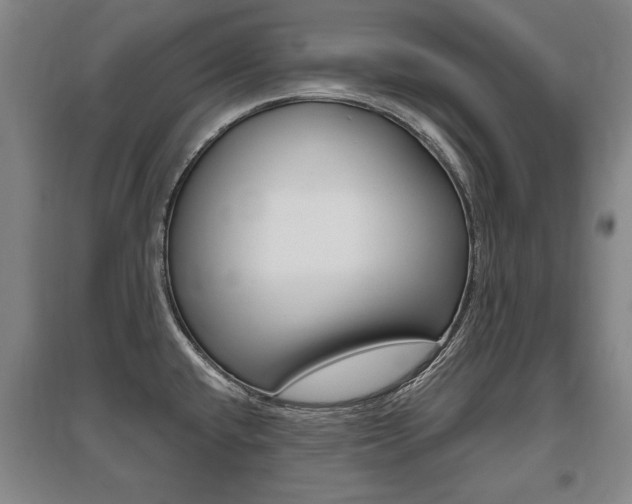 X0000095881432200801110754