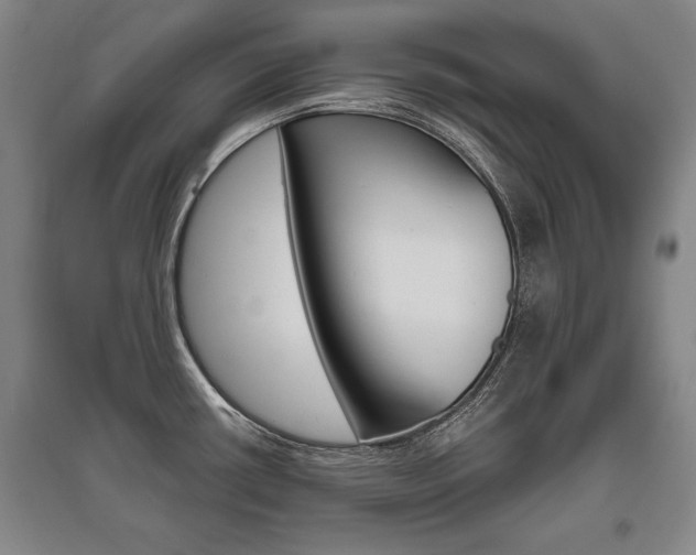 X0000095881434200801110754