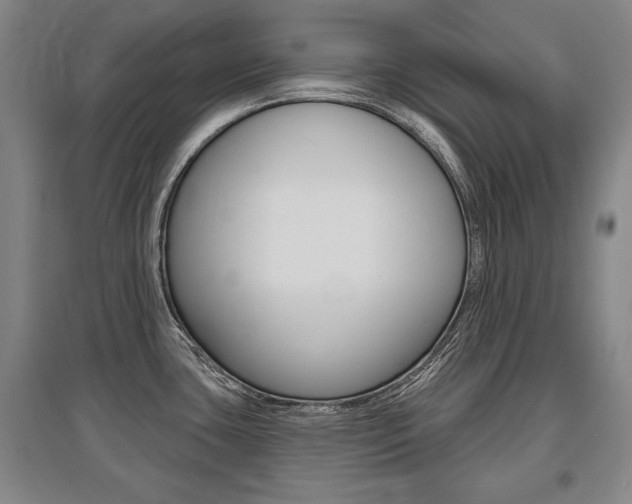 X0000095881435200801110754