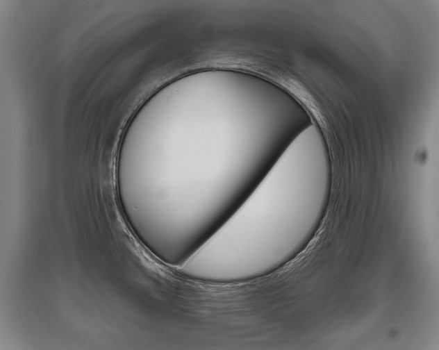 X0000095881436200801110754