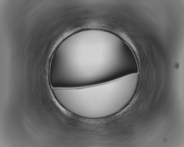 X0000095881437200801110754