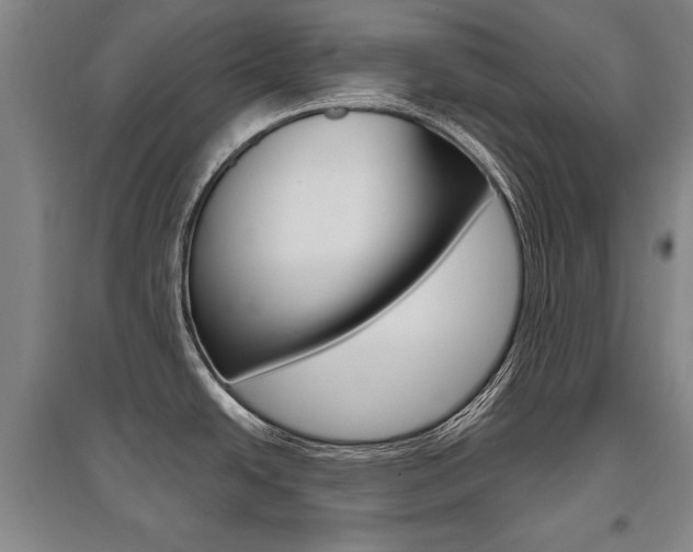 X0000095881438200801110754