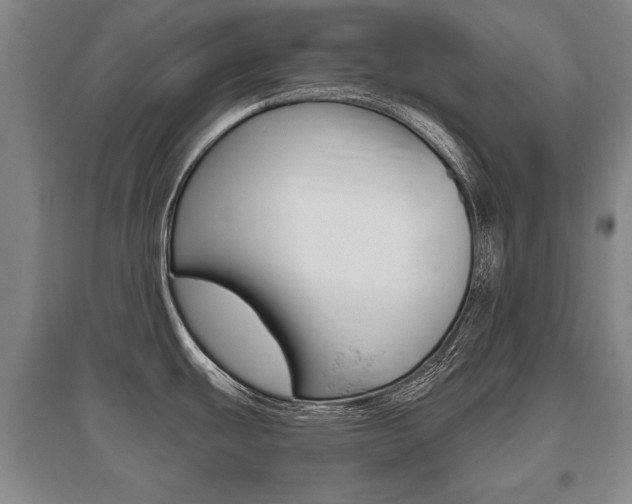 X0000095881439200801110754