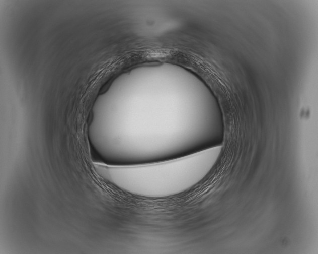 X0000095881441200801110753