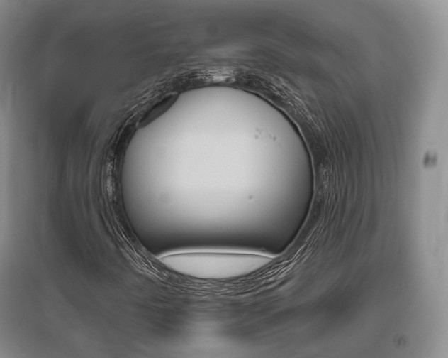 X0000095881442200801110753