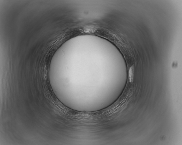 X0000095881443200801110753
