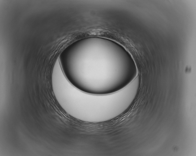 X0000095881444200801110753